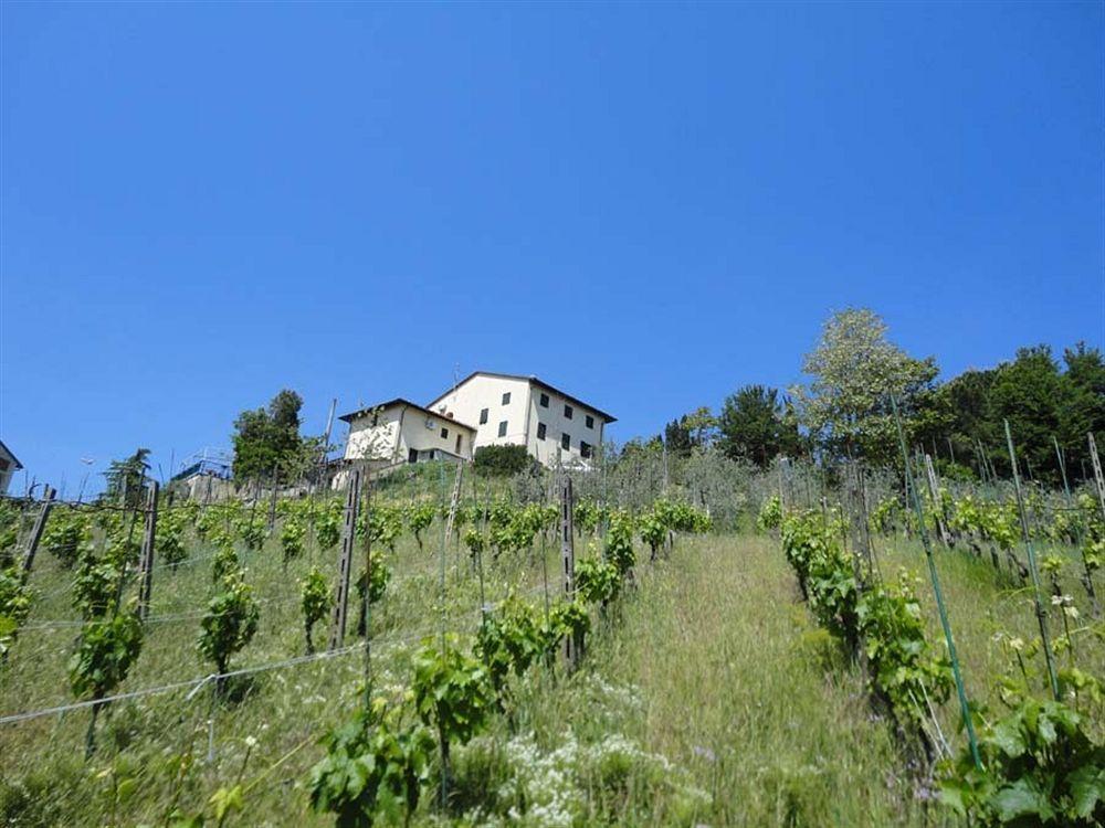 Albergo La Pieve Castelfiorentino Exterior photo