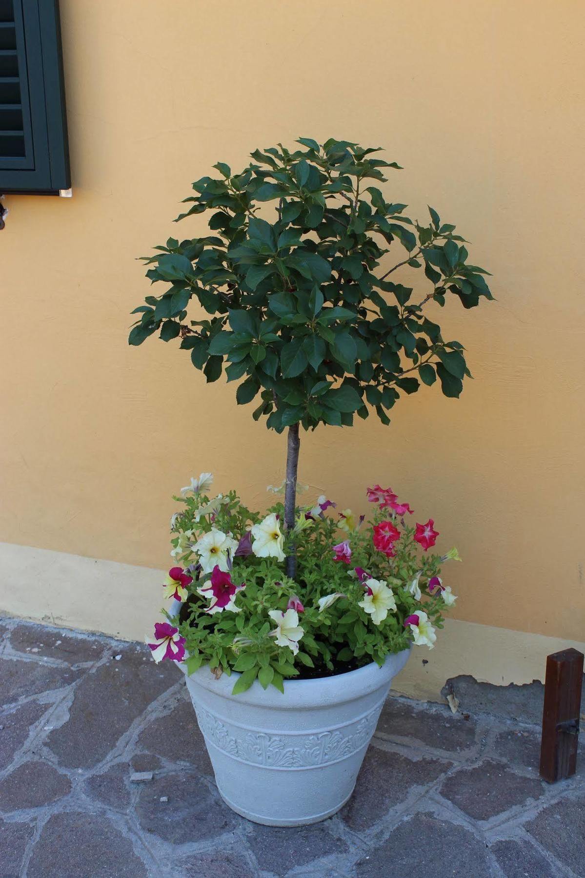 Albergo La Pieve Castelfiorentino Exterior photo
